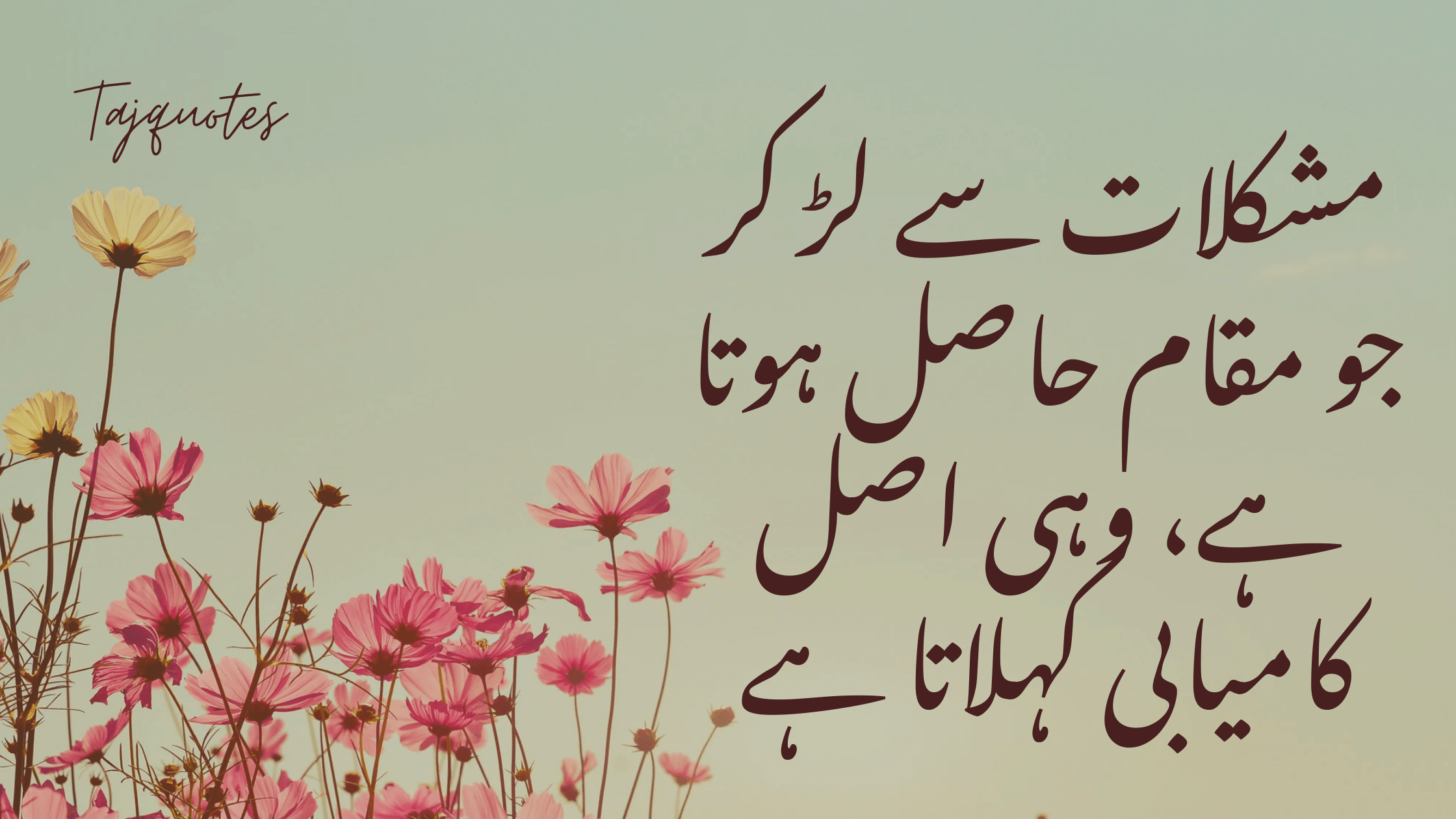 "مشکلات سے لڑ کر جو مقام حاصل ہوتا ہے، وہی اصل کامیابی کہلاتا ہے۔